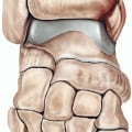 The Fascinating World of the Ankle Joint