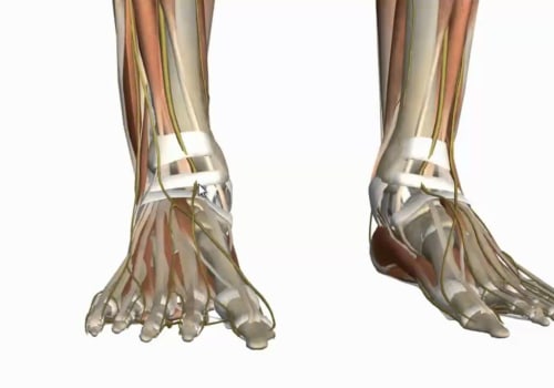 The Complexities of Ankle and Foot Anatomy